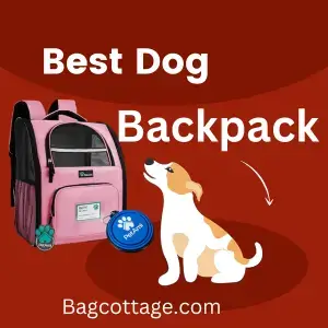 Best Dog Backpack For Human