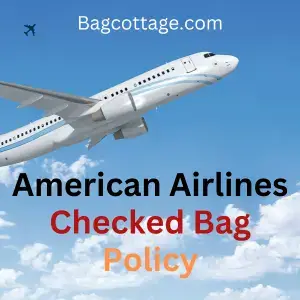 American Airlines Checked Bag (Updated Policy of 2023)