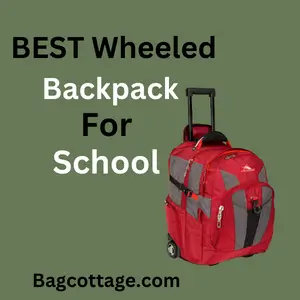 Best Wheeled Backpack for School